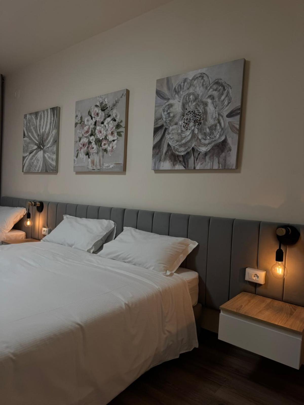Elite Royal Apartamento Venecia